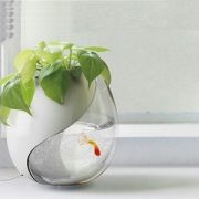 گلدان آکواریوم دیواری