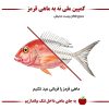 ماهی قرمز