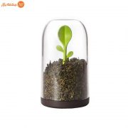 بانکه چای و قهوه