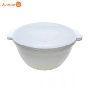 لگن و آبکش درب دار آبتین