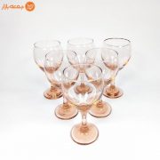 گیلاس خوری رونیکا2