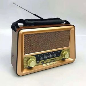 رادیو اسپیکر RX-BT1006 مدل GOLON